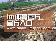 种植基地七(图1)