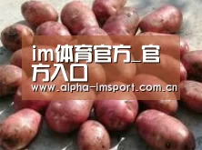产品展示标题5