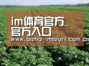 种植基地五
