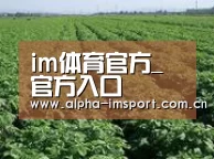 种植基地五(图1)