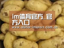 产品展示标题6