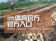 种植基地八