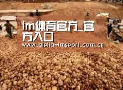种植基地二