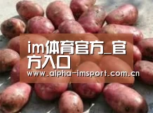 产品展示标题5(图1)