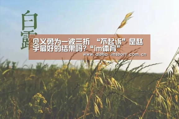 见义勇为一波三折 “不起诉”是赵宇最好的结果吗?“im体育”(图1) im体育下载