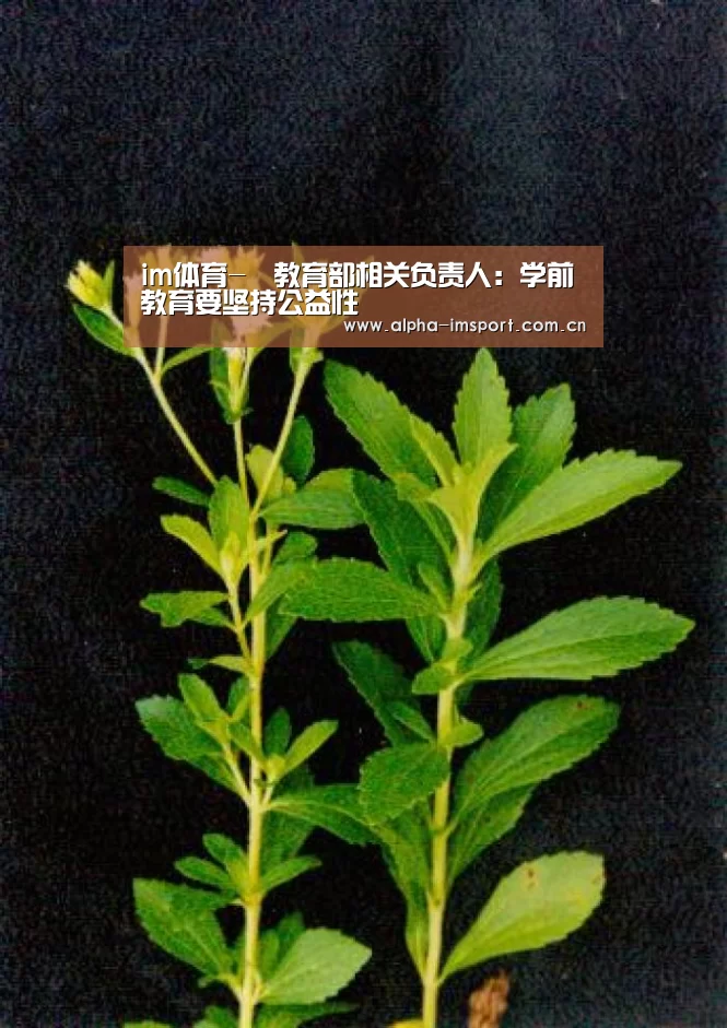 im官方