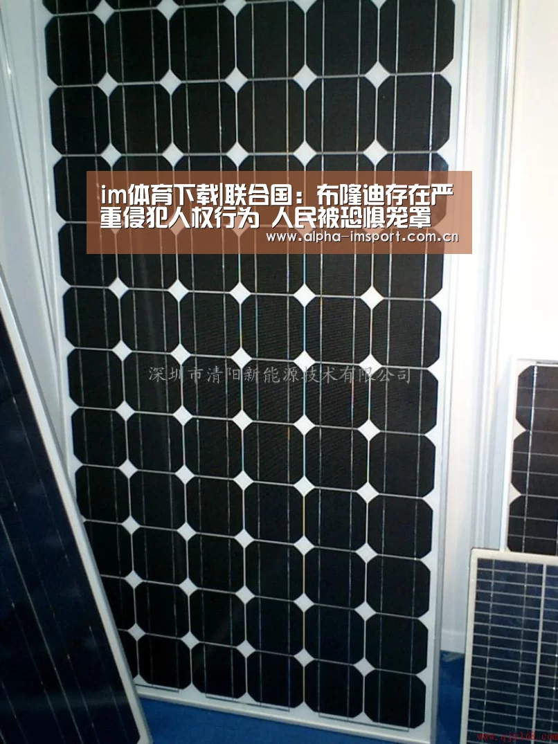 im体育下载|联合国:布隆迪存在严重侵犯人权行为 人民被恐惧笼罩(图3) im官方
