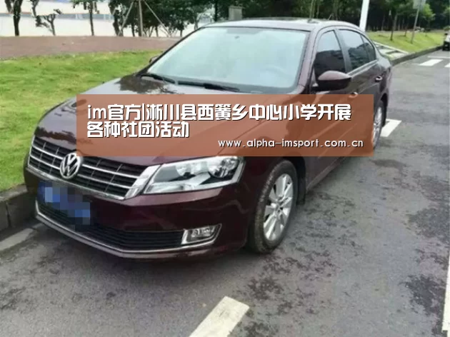 im官方|淅川县西簧乡中心小学开展各种社团活动(图3) im官方