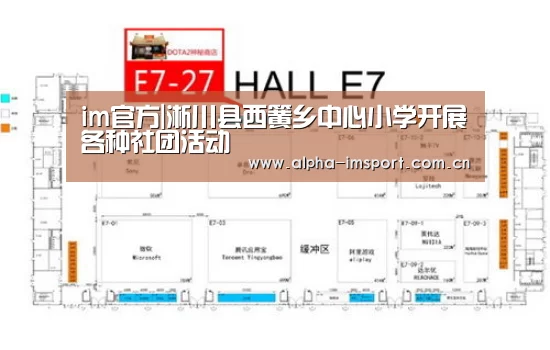 im官方|淅川县西簧乡中心小学开展各种社团活动(图1) im体育