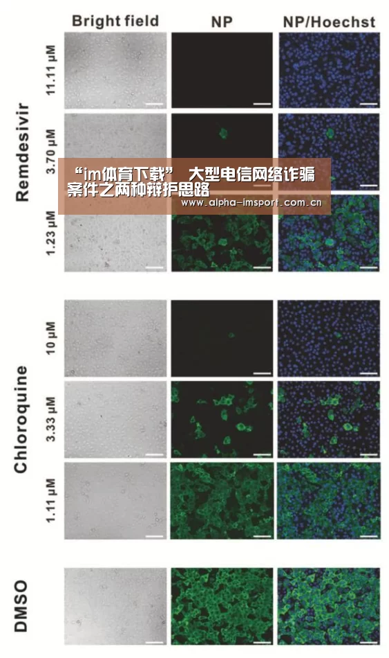 im体育投注