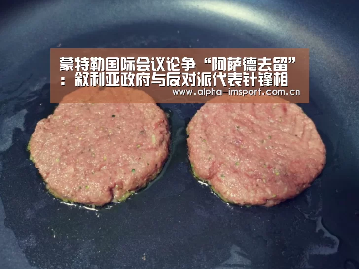 蒙特勒国际会议论争“阿萨德去留”:叙利亚政府与反对派代表针锋相对【im体育投注】(图4) im官方