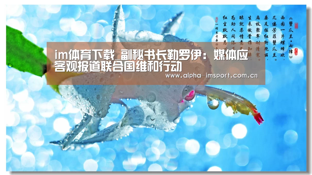 im体育下载_副秘书长勒罗伊:媒体应客观报道联合国维和行动(图2) im体育下载