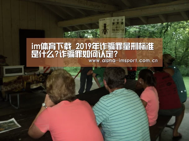 im官方