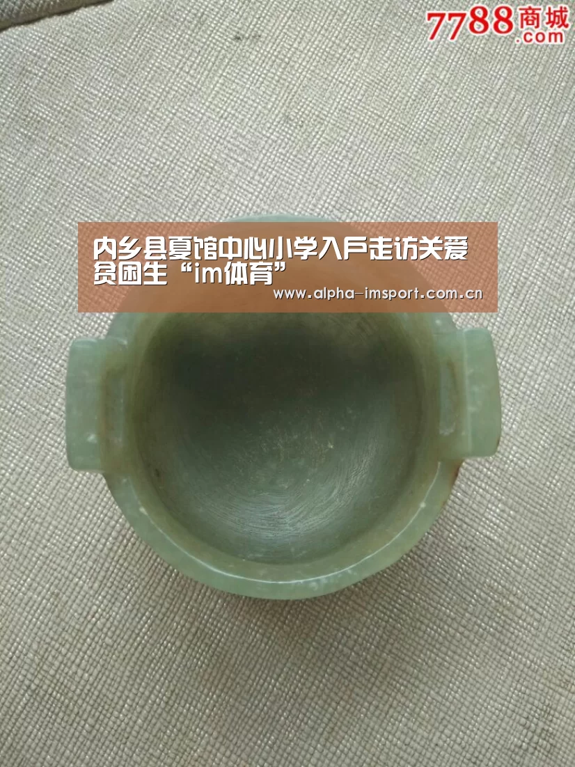 内乡县夏馆中心小学入户走访关爱贫困生“im体育”(图2) im官方