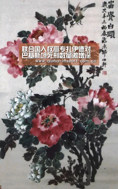 im官方